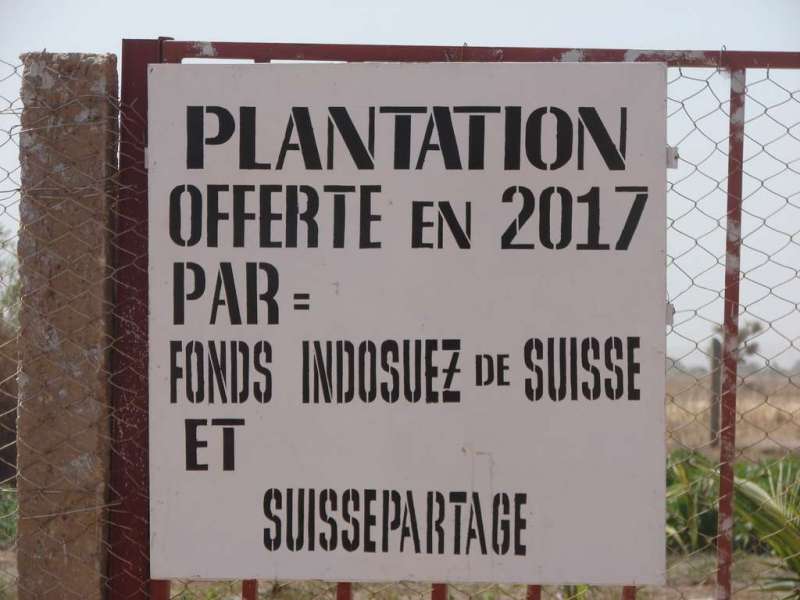 Inauguration de la plantation